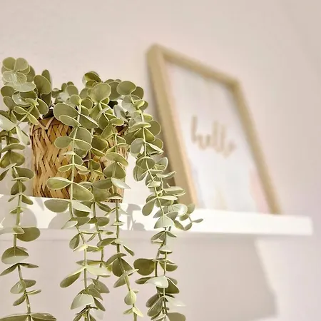 Lägenhet 1 Naehe Rhein Mit Verkehrsanbindung *